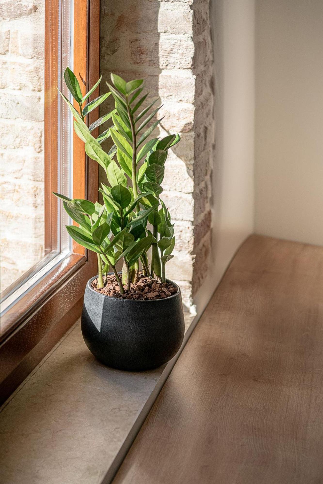 Ethos Suites ハニア 部屋 写真